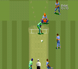 Super International Cricket screenshot 5 for Super Nintendo